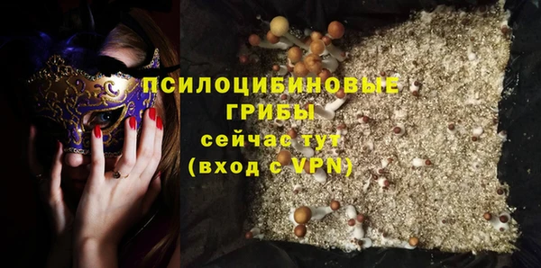 apvp Абаза