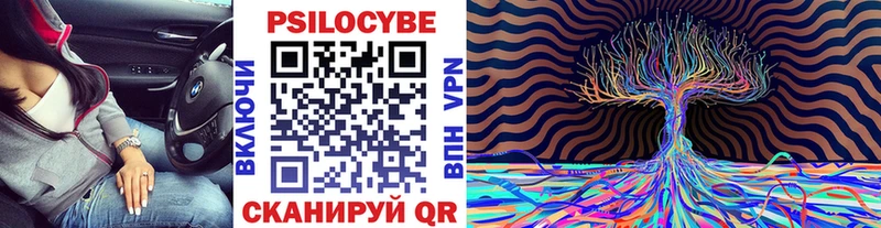 блэк спрут зеркало  купить наркотики цена  Елизаветинская  Псилоцибиновые грибы ЛСД 